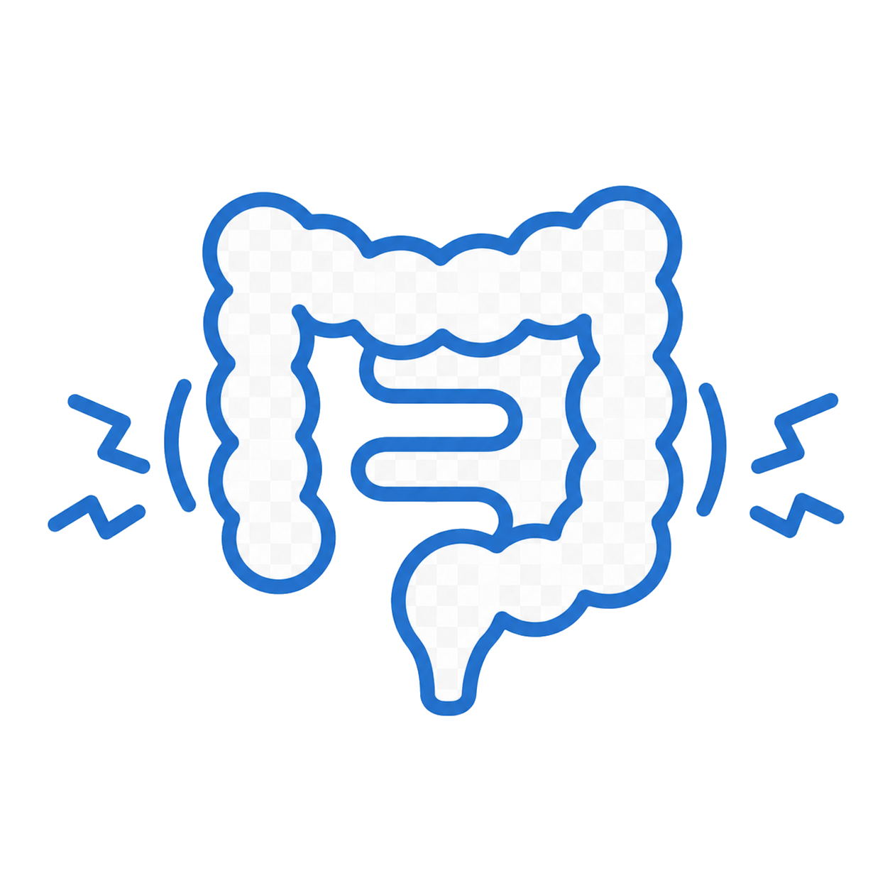 大腸カメラ（下部消化管内視鏡検査）