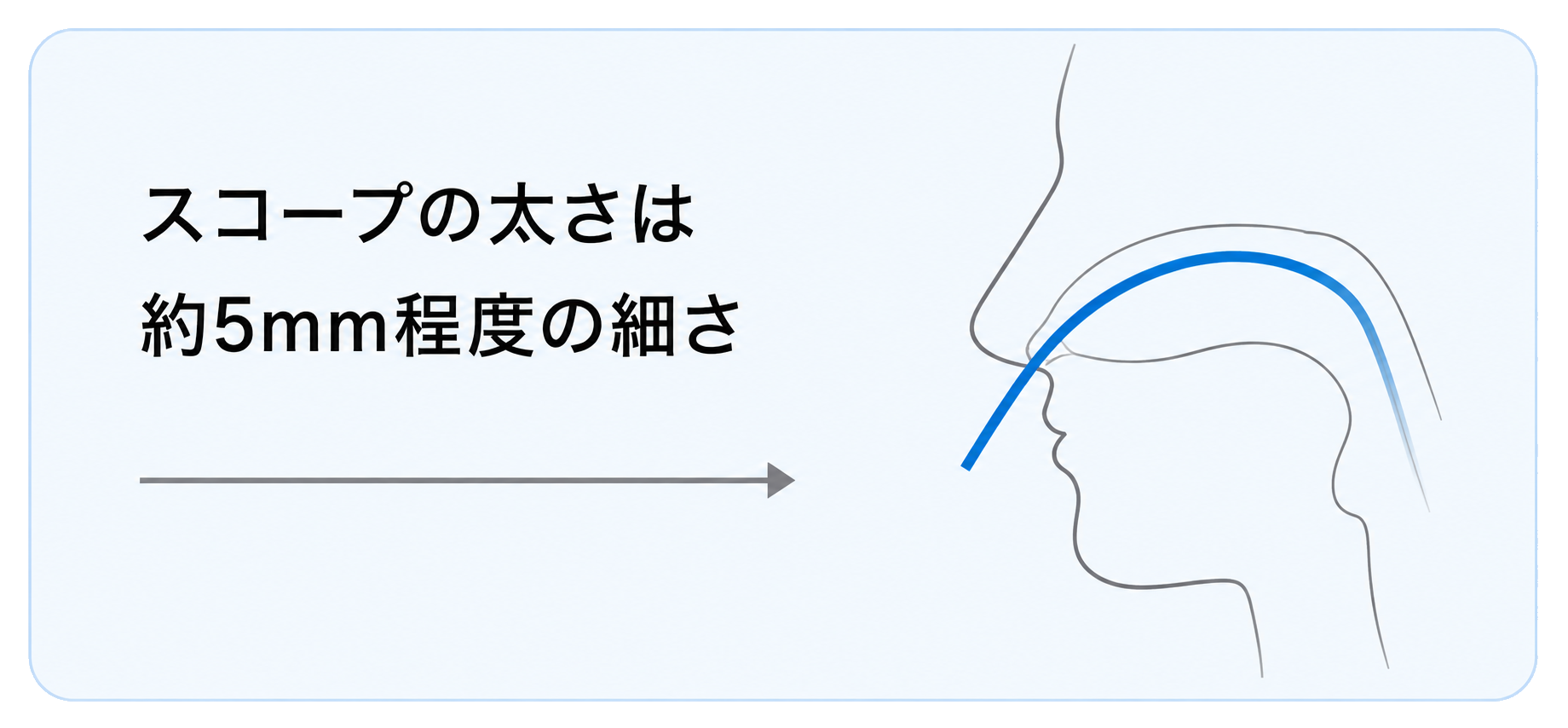 鼻から挿入するイメージ