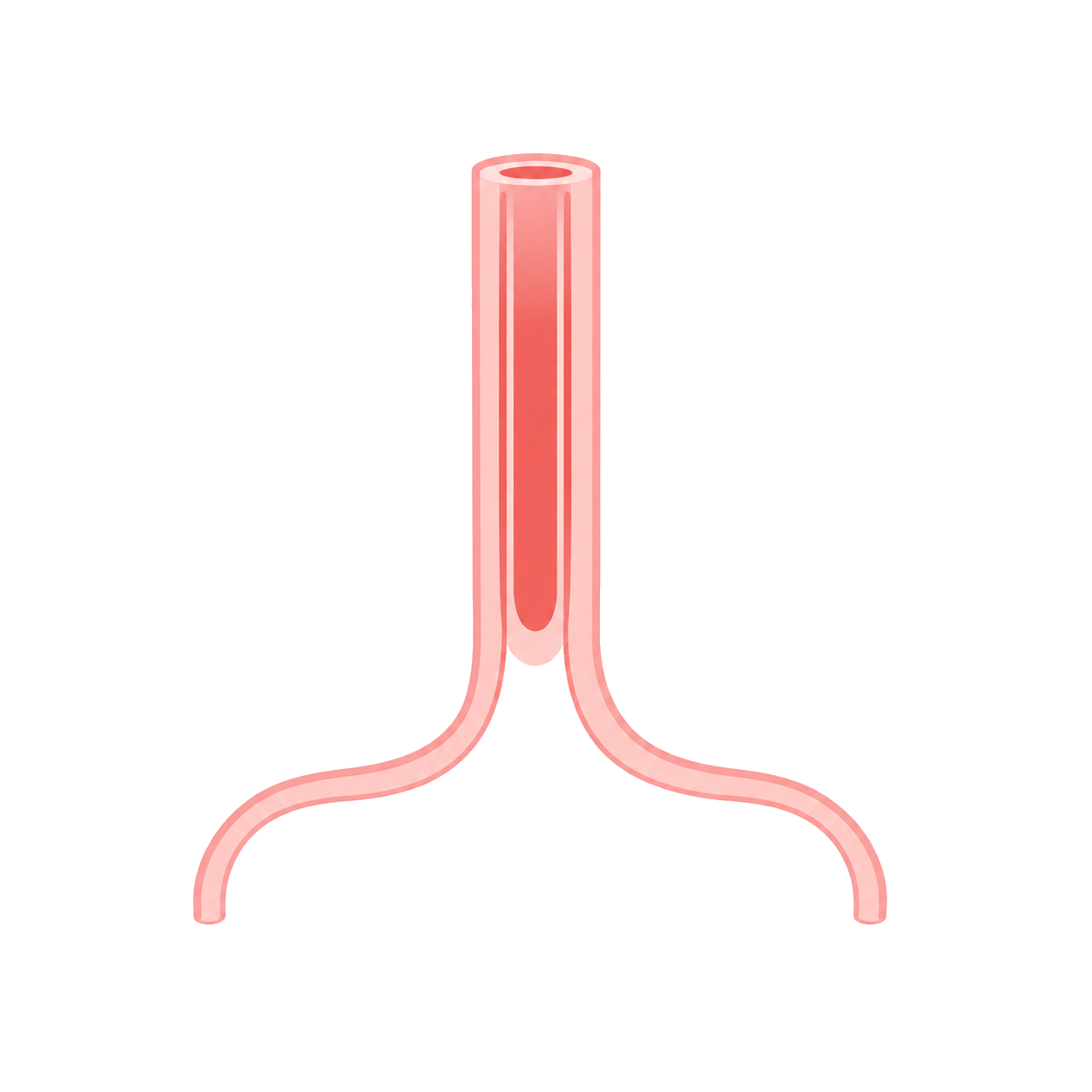 食道