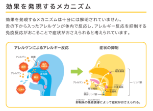 舌下免疫療法 シダキュア｜下山記念クリニック（東広島市）