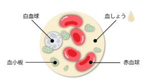 赤血球　白血球　血小板｜下山記念クリニック（東広島市）