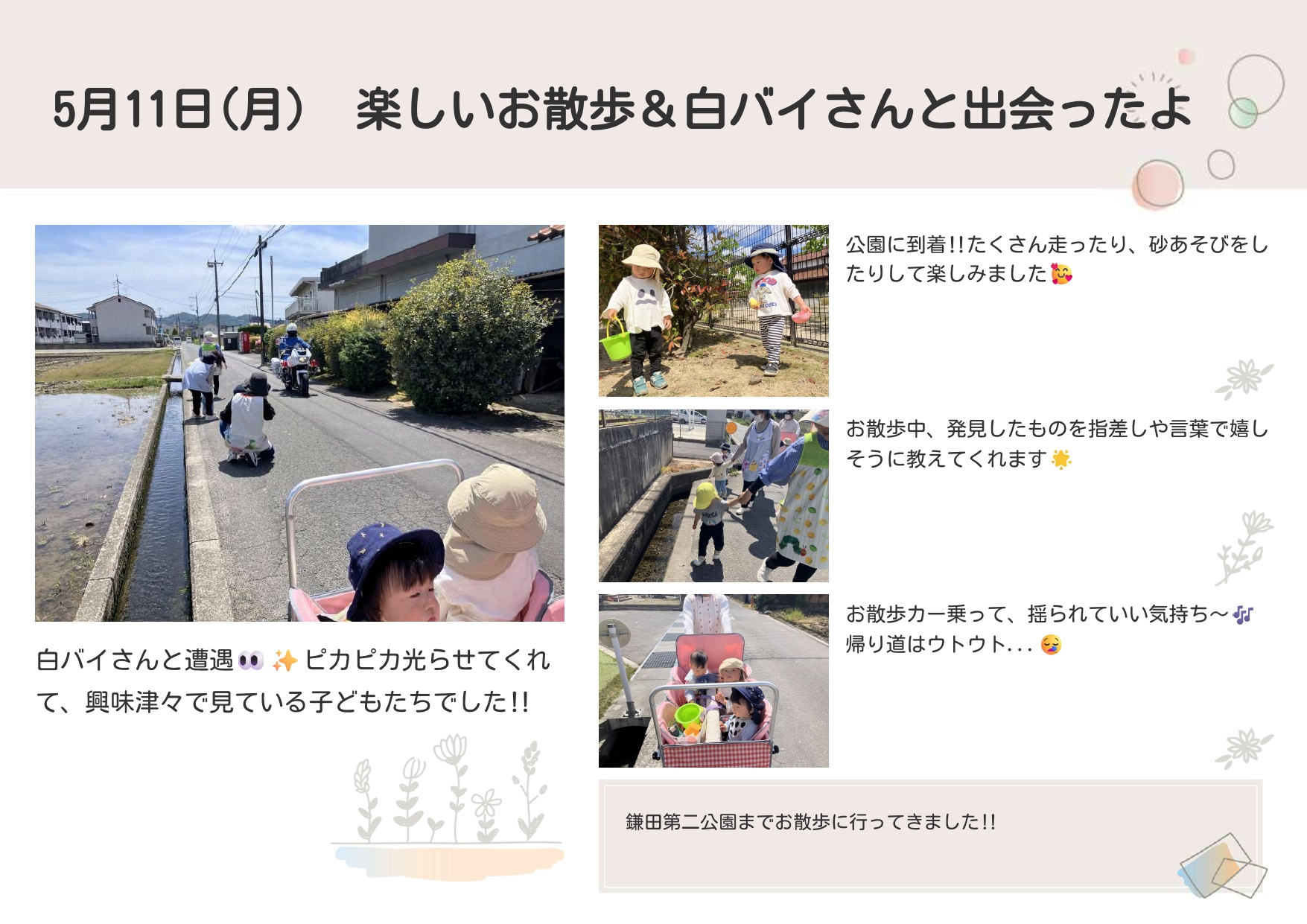 楽しいお散歩🚶‍♀️🚶‍♂️